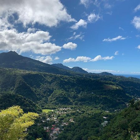 Le Petit Paradis Roseau Luaran gambar