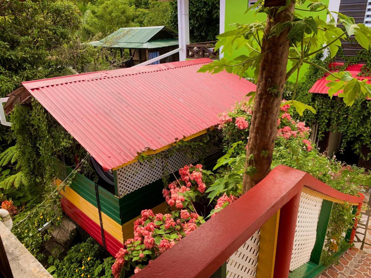 Le Petit Paradis Roseau Luaran gambar