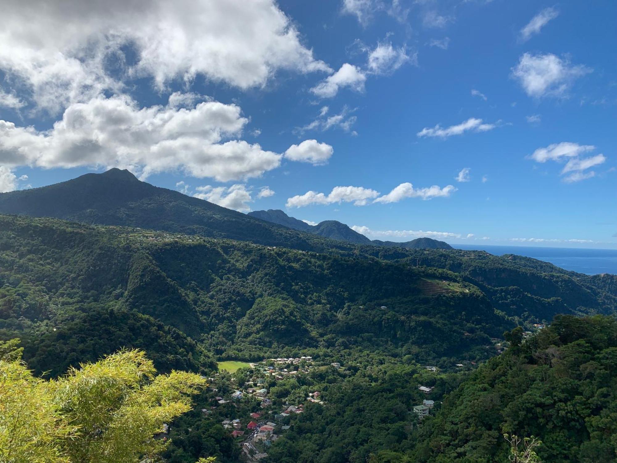 Le Petit Paradis Roseau Luaran gambar